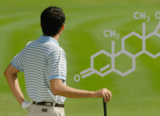 Hormontest für Männer: Warum Golfer von einem Hormon-Check profitieren können Golfer auf dem Golfplatz neben einem Testosteron Modell