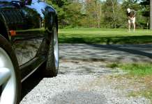 10 Dinge, die Golfer immer im Kofferraum haben sollten Golfer Kofferraum