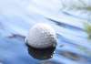 Simon Bahlmann von ReGolfed: Warum Lakeballs ein Gamechanger sind Golfball im Wasserhindernis